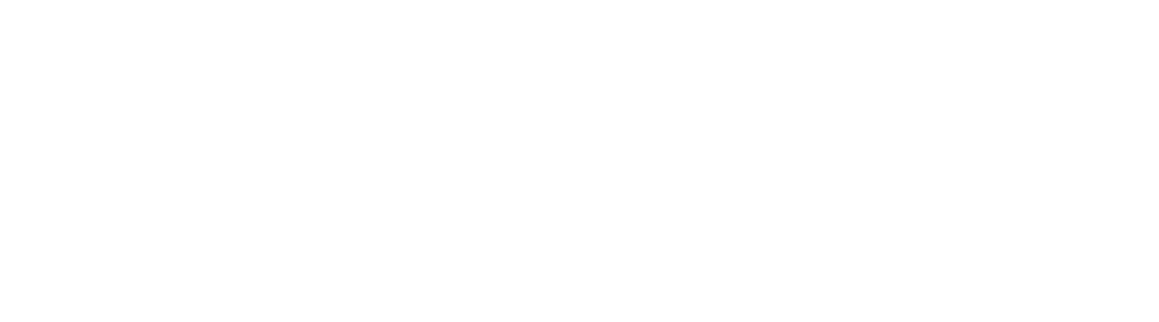 Holo AI
